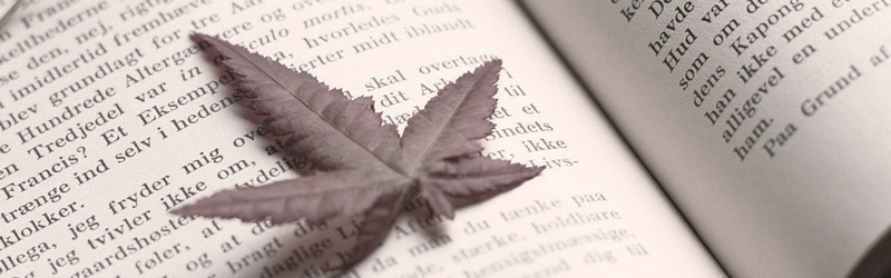 家庭教師のイーエス・指導料金